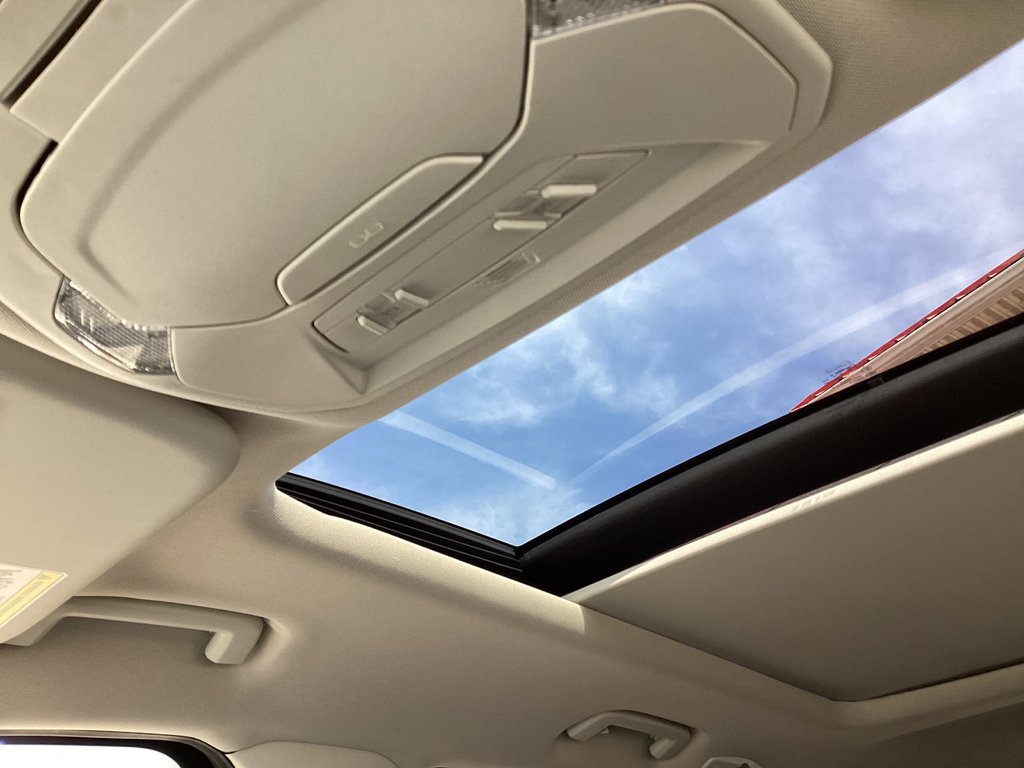 2017 Ford Escape TITANIUM in Saint John, New Brunswick - 22 - w1024h768px