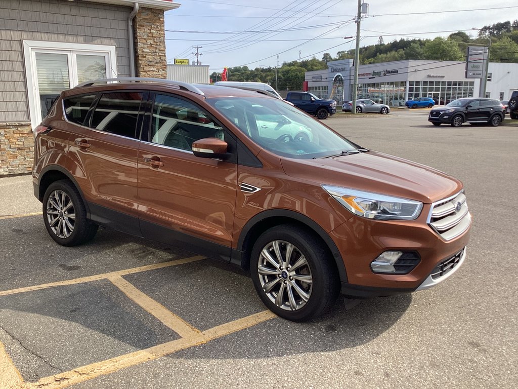 2017 Ford Escape TITANIUM in Saint John, New Brunswick - 5 - w1024h768px