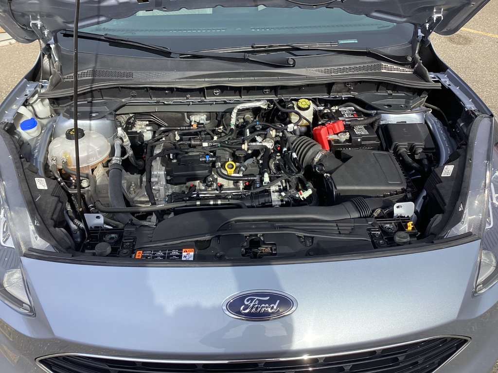 Ford ESCAPE SE 2022 à Saint John, Nouveau-Brunswick - 18 - w1024h768px