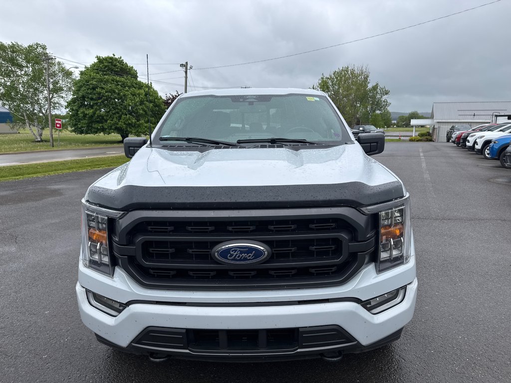 2021 Ford F-150 XLT in Sussex, New Brunswick - 7 - w1024h768px