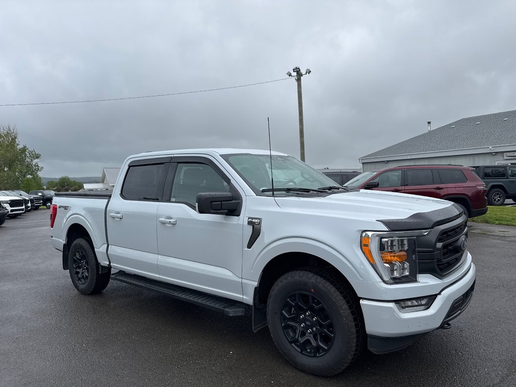 2021 Ford F-150 XLT in Sussex, New Brunswick - 6 - w1024h768px