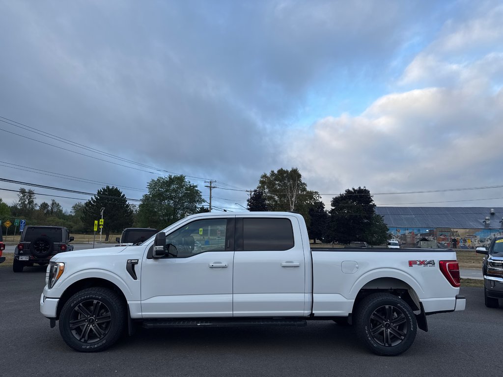 2022 Ford F-150 XLT w/ FX4 in Sussex, New Brunswick - 2 - w1024h768px