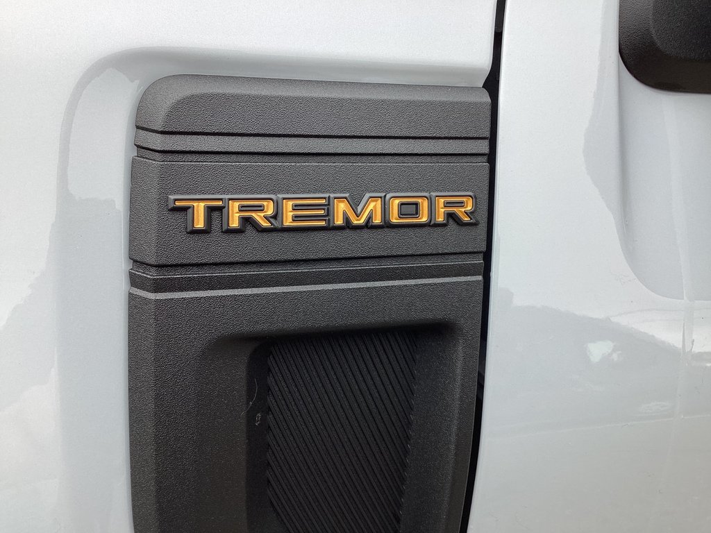 2025 Ford MAVERICK TREMOR in Saint John, New Brunswick - 10 - w1024h768px