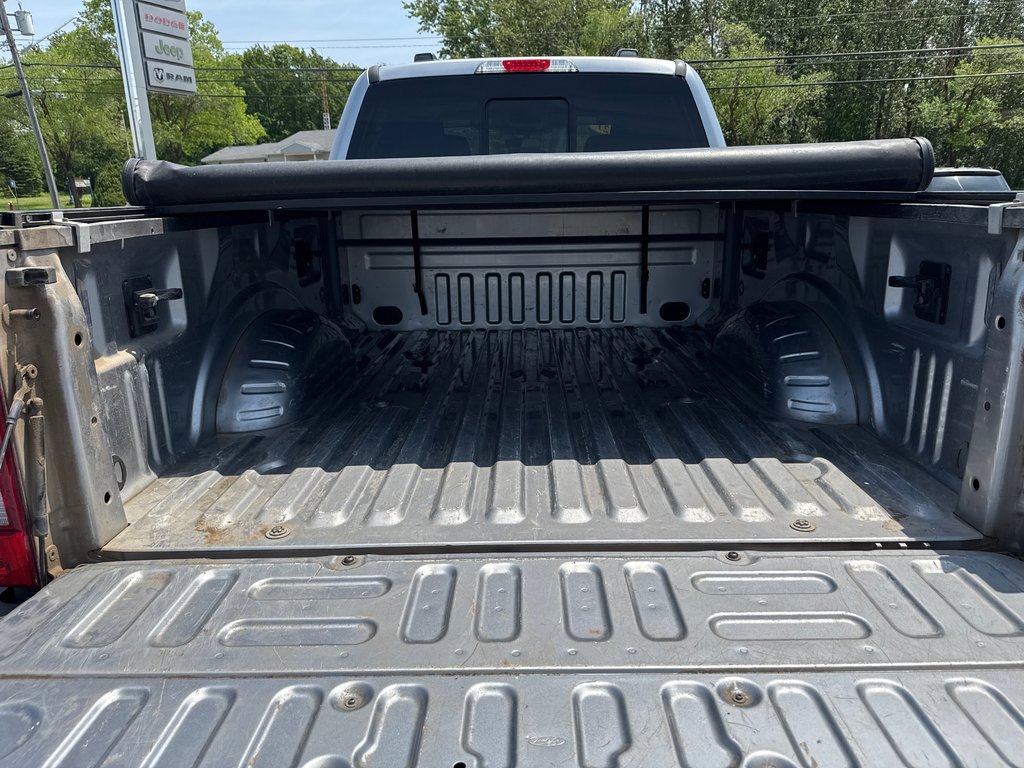 2021 Ford Super Duty F-250 SRW XLT in Sussex, New Brunswick - 7 - w1024h768px
