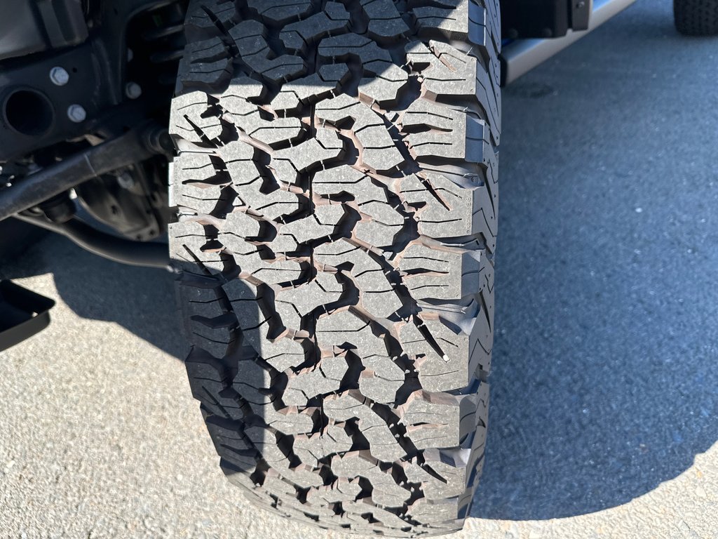 Wrangler Willys 2024 à Sussex, Nouveau-Brunswick - 12 - w1024h768px