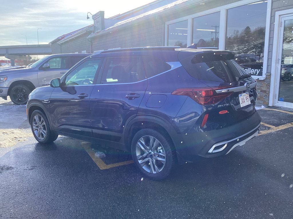 Kia SELTOS EX 2021 à Saint John, Nouveau-Brunswick - 6 - w1024h768px