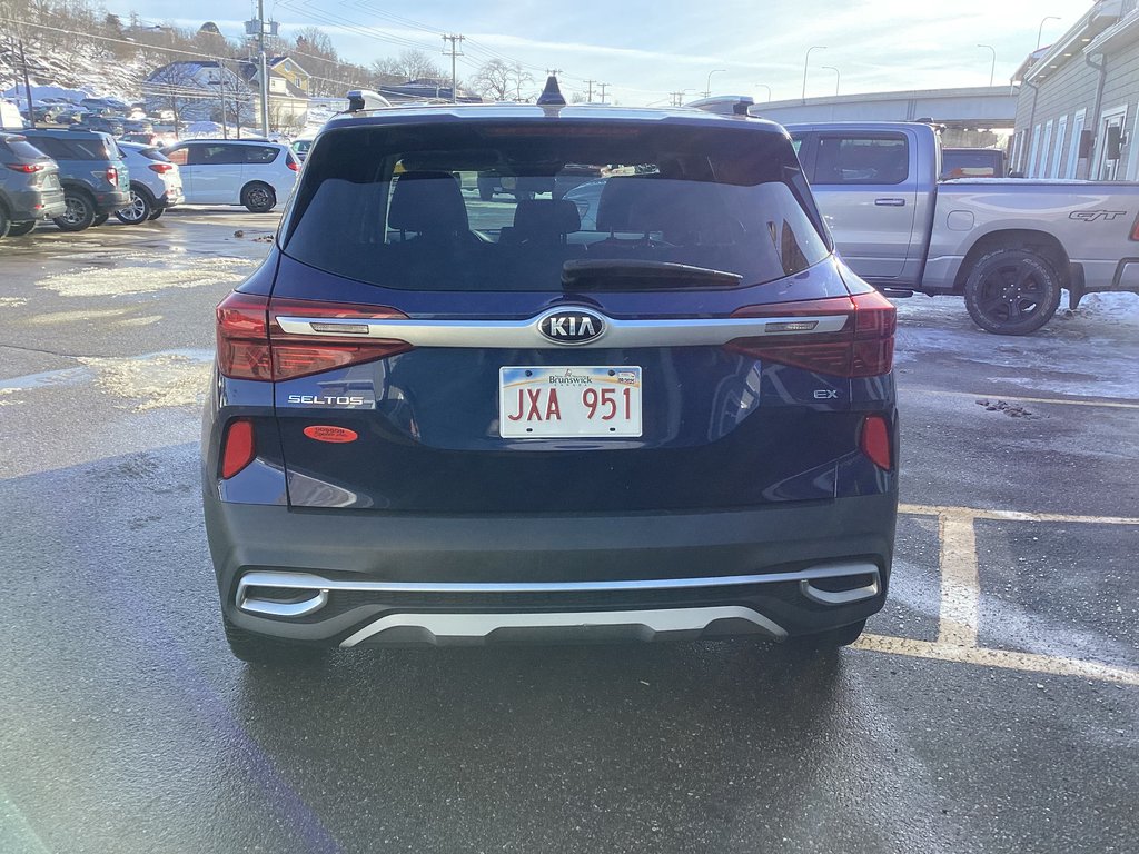 Kia SELTOS EX 2021 à Saint John, Nouveau-Brunswick - 5 - w1024h768px