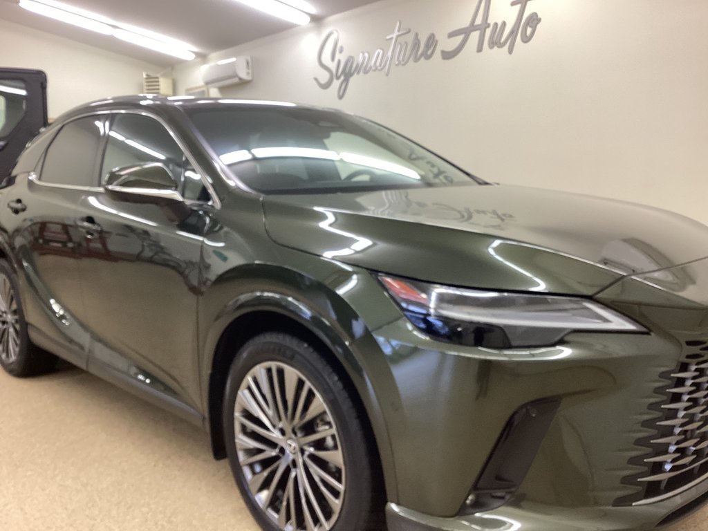2024 Lexus RX 450H+ in Saint John, New Brunswick - 25 - w1024h768px