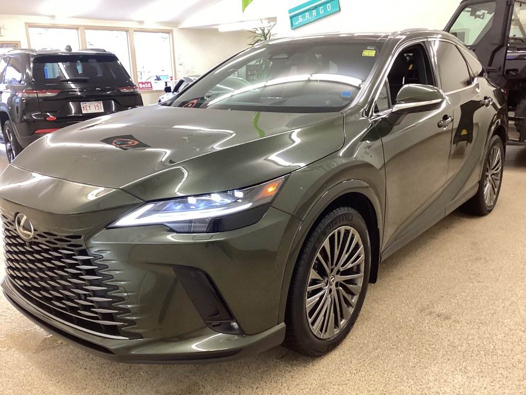 2024 Lexus RX 450H+ in Saint John, New Brunswick - 24 - w1024h768px