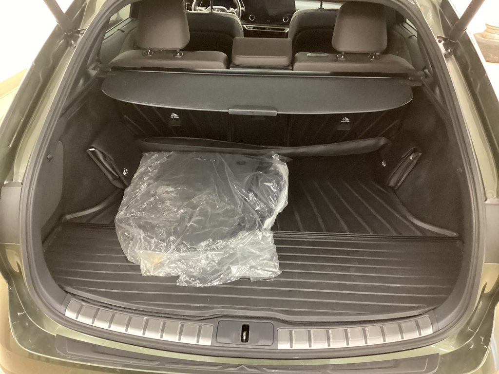 2024 Lexus RX 450H+ in Saint John, New Brunswick - 5 - w1024h768px