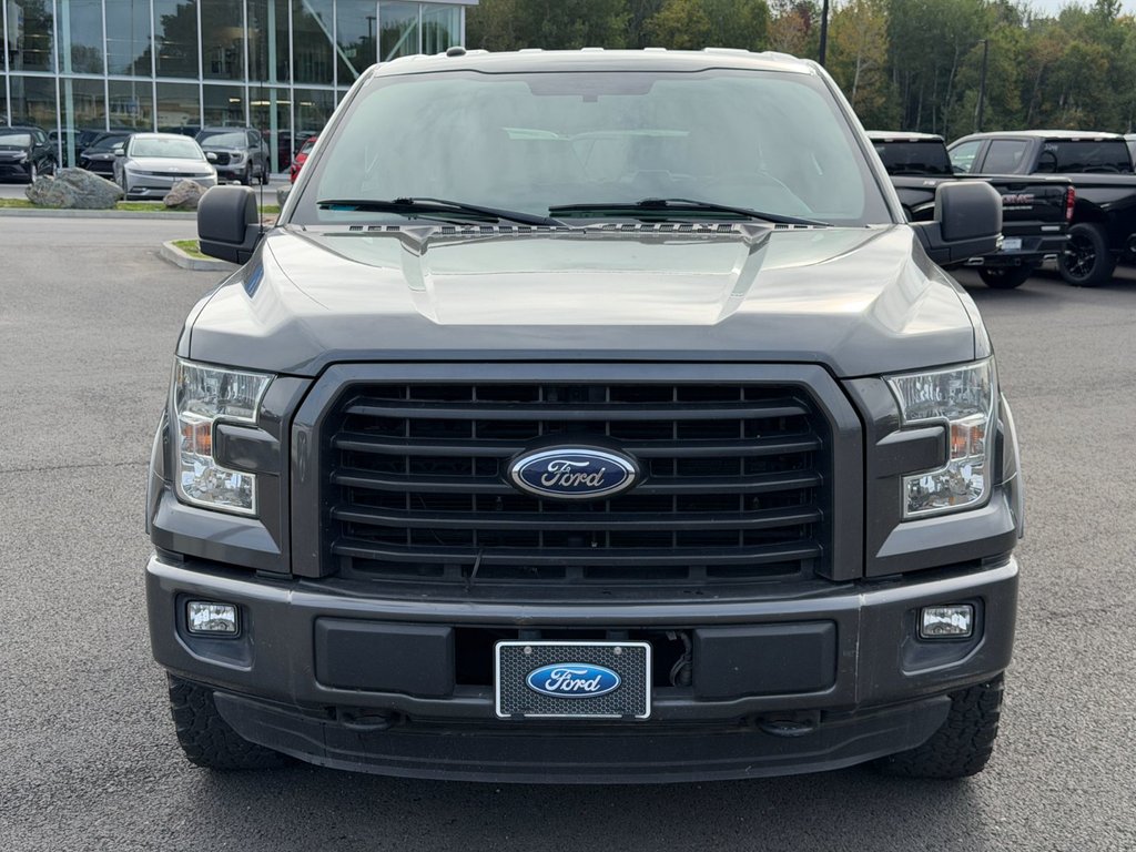 2016 Ford F-150 in Victoriaville, Quebec - 3 - w1024h768px
