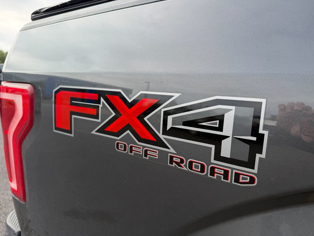 2016 Ford F-150 in Victoriaville, Quebec - 9 - w1024h768px