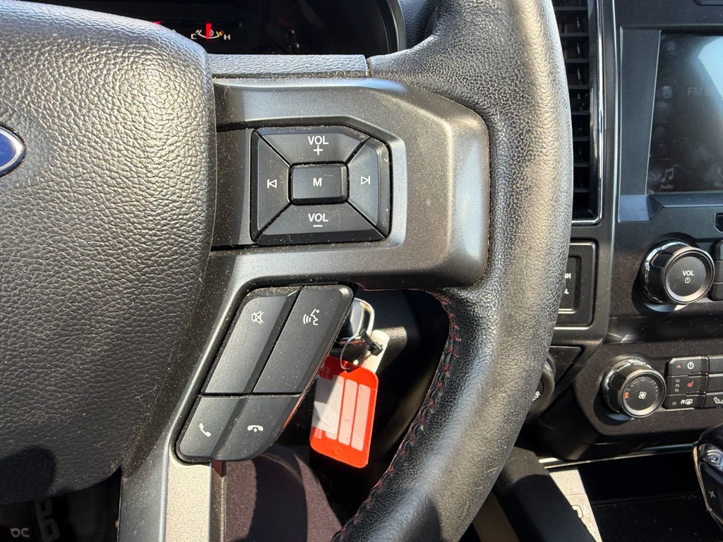 Ford F-150  2019 à Plessisville, Québec - 25 - w1024h768px
