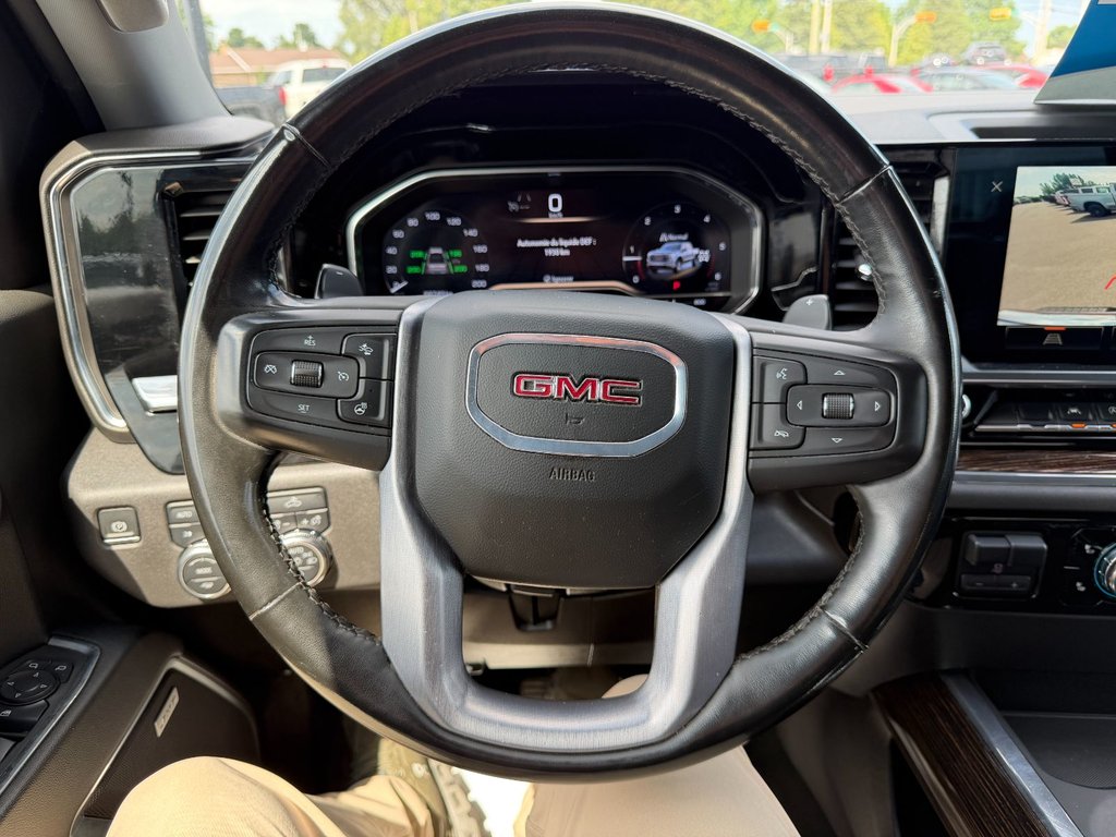 2024 GMC Sierra 1500 in Plessisville, Quebec - 29 - w1024h768px