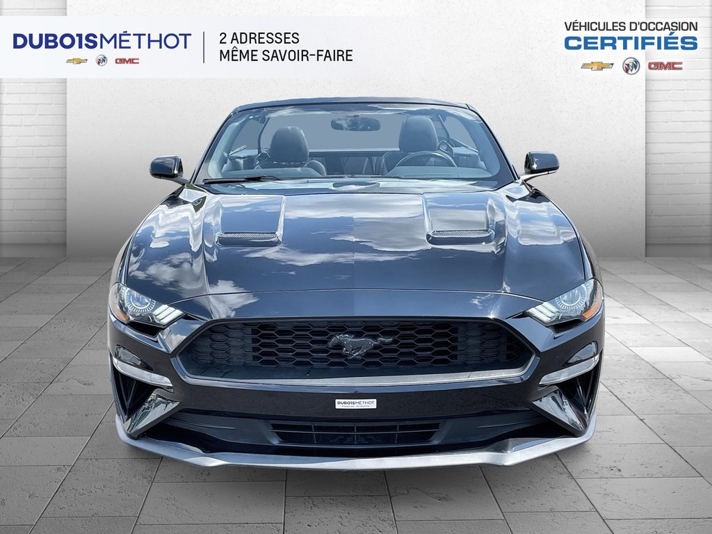 Ford Mustang CONVERTIBLE, ECOBOOST 2.3L TURBO, AUTOMATIQUE, 2019 à Plessisville, Québec - 3 - w1024h768px