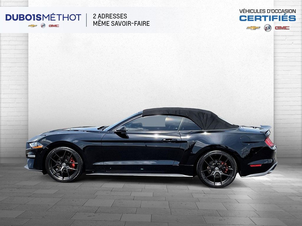 Ford Mustang CONVERTIBLE, ECOBOOST 2.3L TURBO, AUTOMATIQUE, 2019 à Plessisville, Québec - 11 - w1024h768px