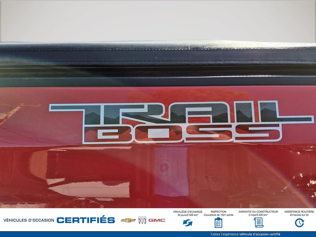 Chevrolet Silverado 1500 4WD Crew Cab Custom Trail Boss 2020 à Alma, Québec - 8 - w1024h768px