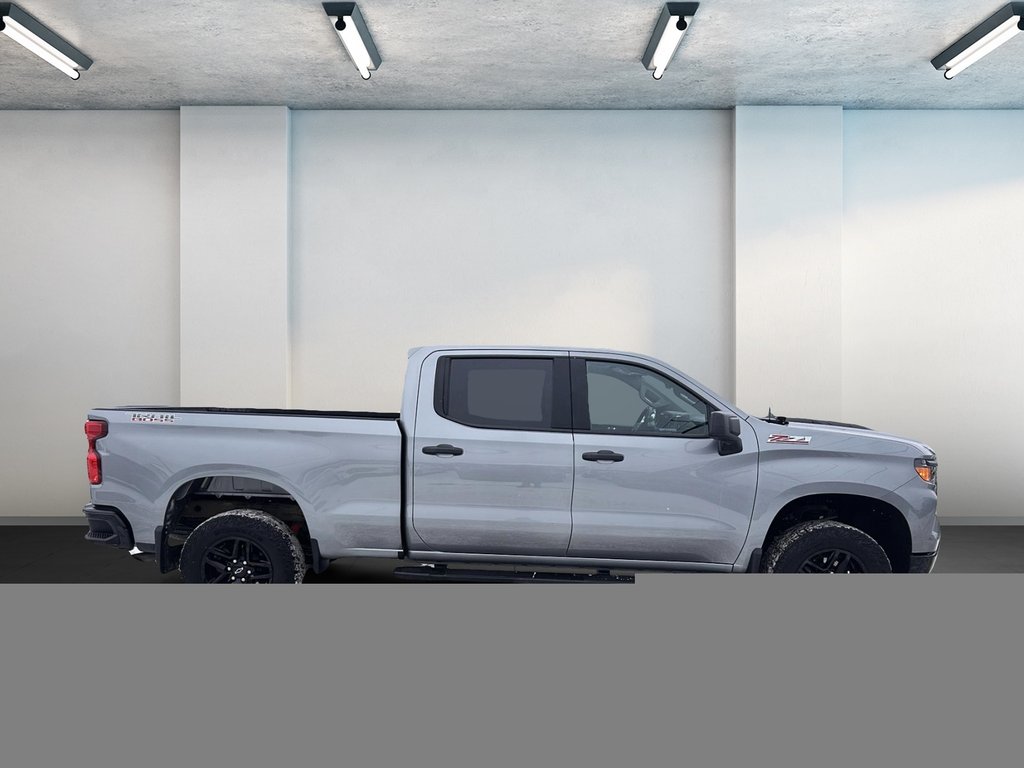 2024 Chevrolet Silverado 1500 4WD Crew Cab Custom Trail Boss in Alma, Quebec - 4 - w1024h768px