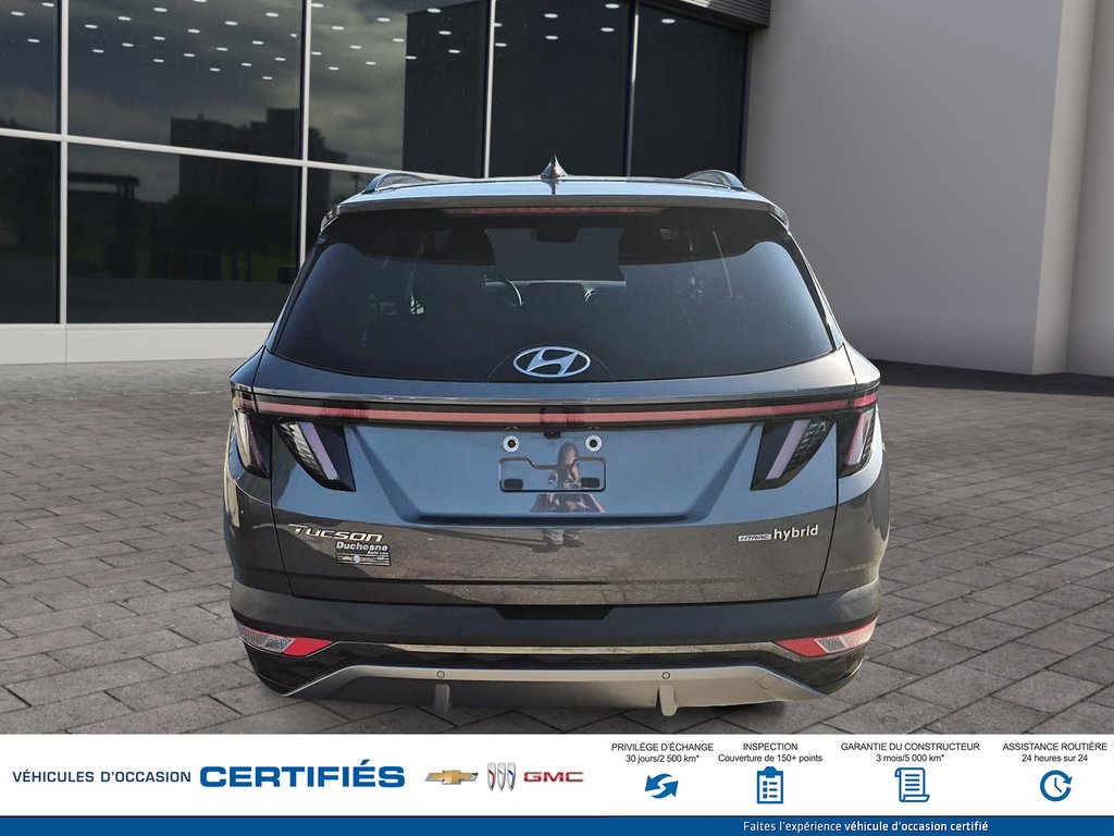 2024 Hyundai TUCSON Hybrid AWD Luxury in Alma, Quebec - 5 - w1024h768px