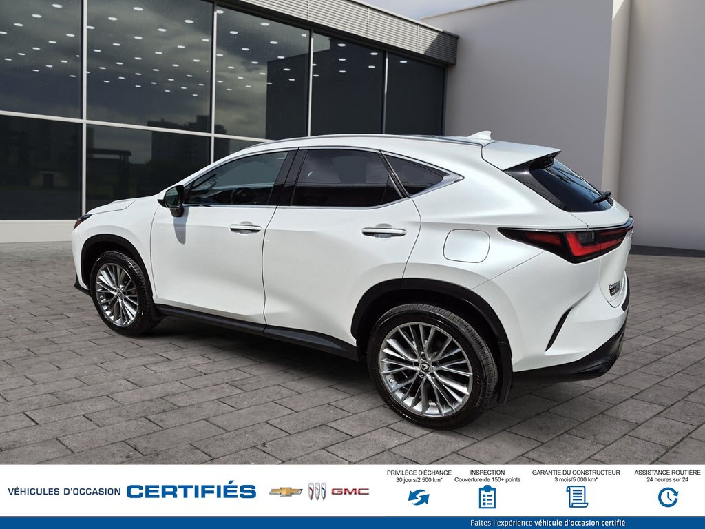 2022 Lexus NX 350 AWD in Alma, Quebec - 6 - w1024h768px