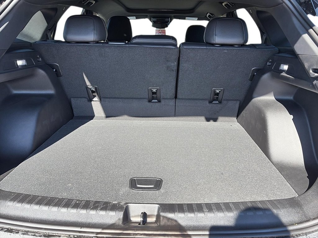 2025 Chevrolet Blazer EV LT in La Malbaie, Quebec - 6 - w1024h768px