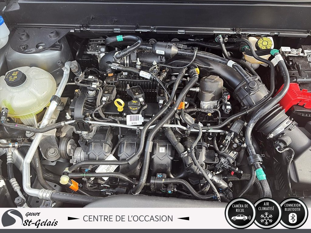 Ford Maverick XLT 2024 à La Malbaie, Québec - 8 - w1024h768px