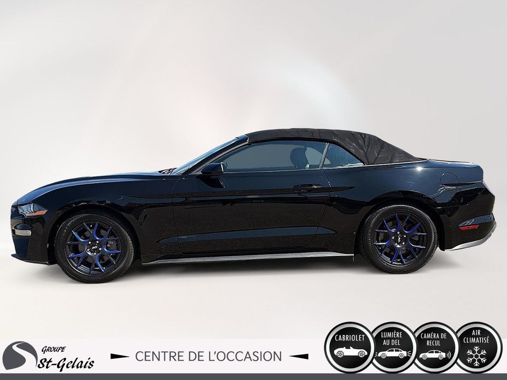 Ford Mustang  2018 à La Malbaie, Québec - 5 - w1024h768px