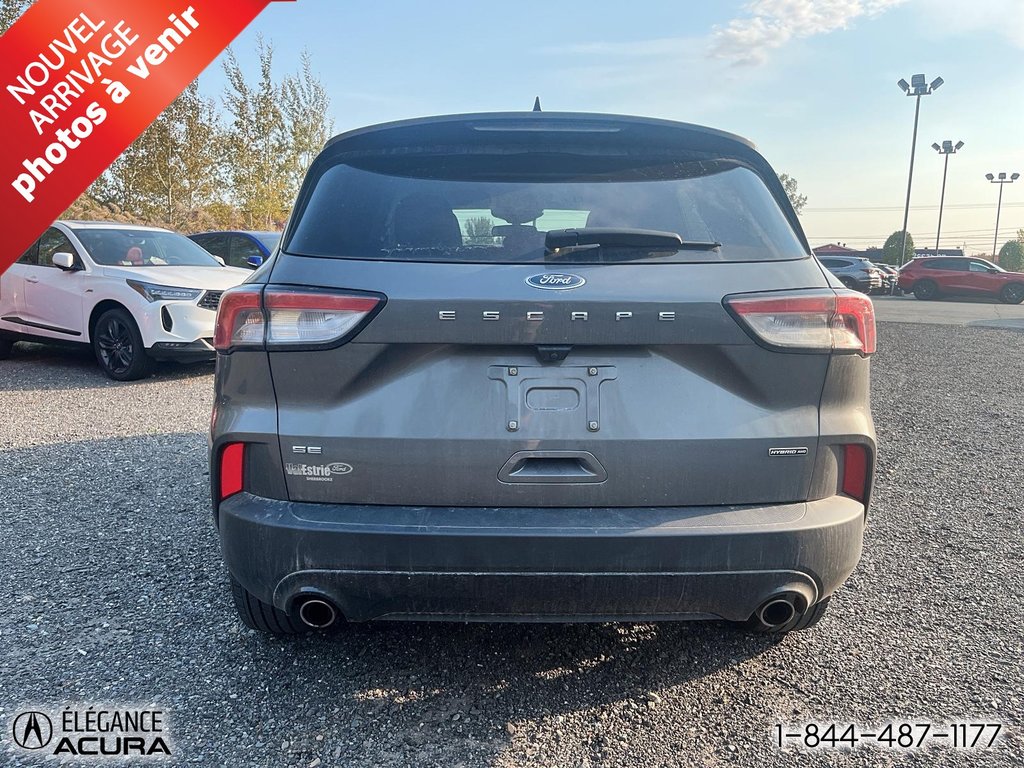 2022  Escape SE Hybrid in Granby, Quebec - 6 - w1024h768px