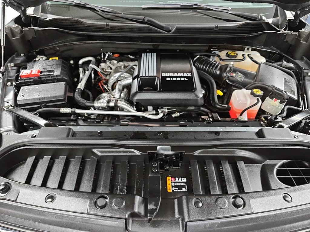 2024 Chevrolet Silverado 1500 LT TRAIL BOSS in Sherbrooke, Quebec - 8 - w1024h768px