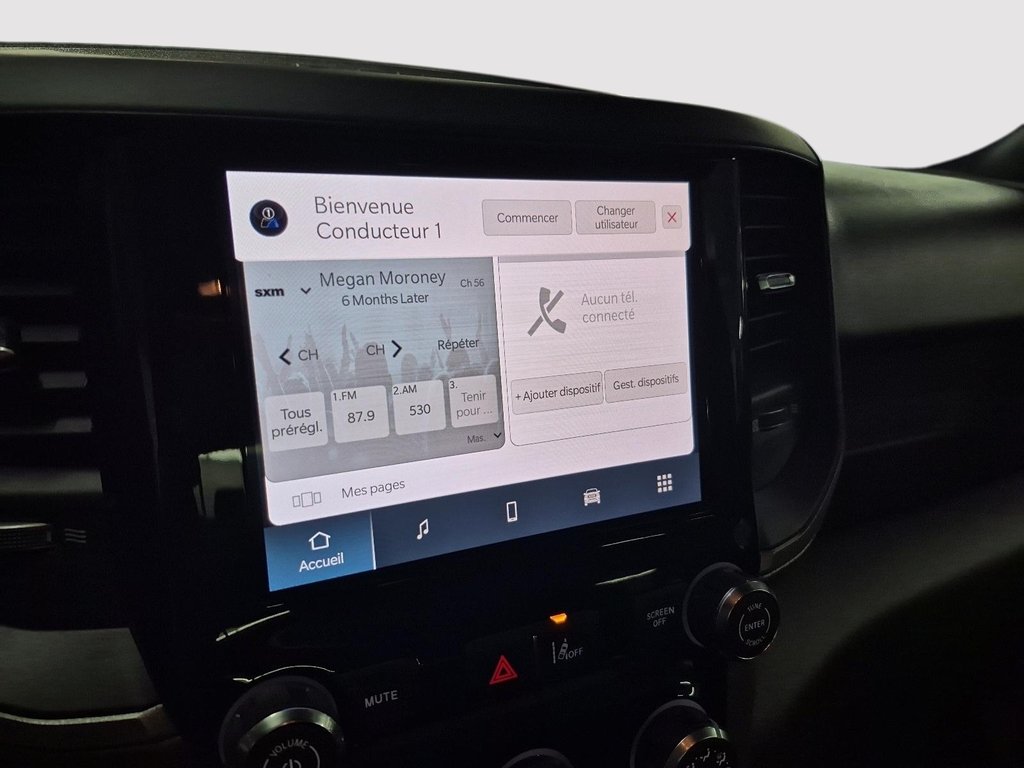 2025 Ram 1500 TRADESMAN in St-Jean-Sur-Richelieu, Quebec - 20 - w1024h768px