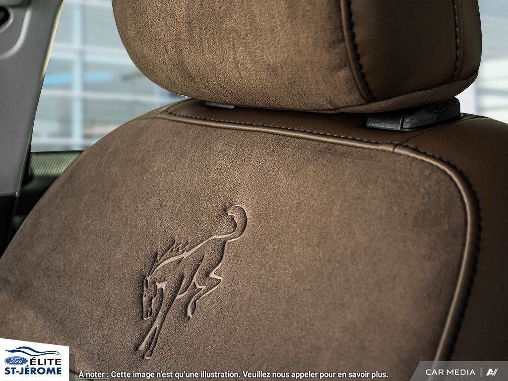 2024 Ford BRONCO SPORT BADLANDS in Charlemagne, Quebec - 20 - w1024h768px
