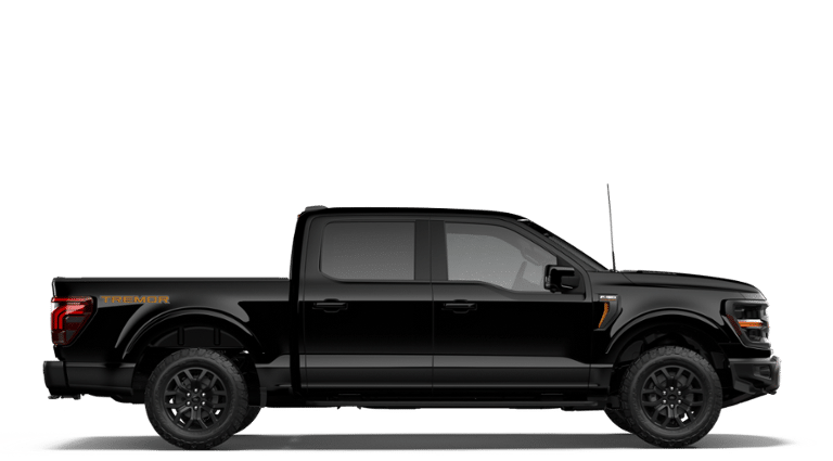 Ford F-150 Tremor 2026 à Charlemagne, Québec - 5 - w1024h768px