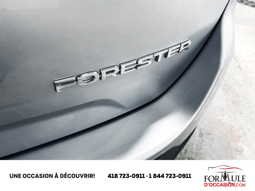 2019  Forester Base in Rimouski, Quebec - 21 - w1024h768px