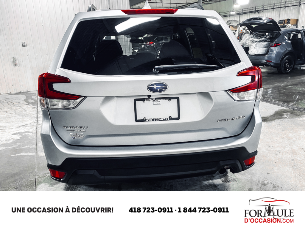 2019  Forester Base in Rimouski, Quebec - 19 - w1024h768px