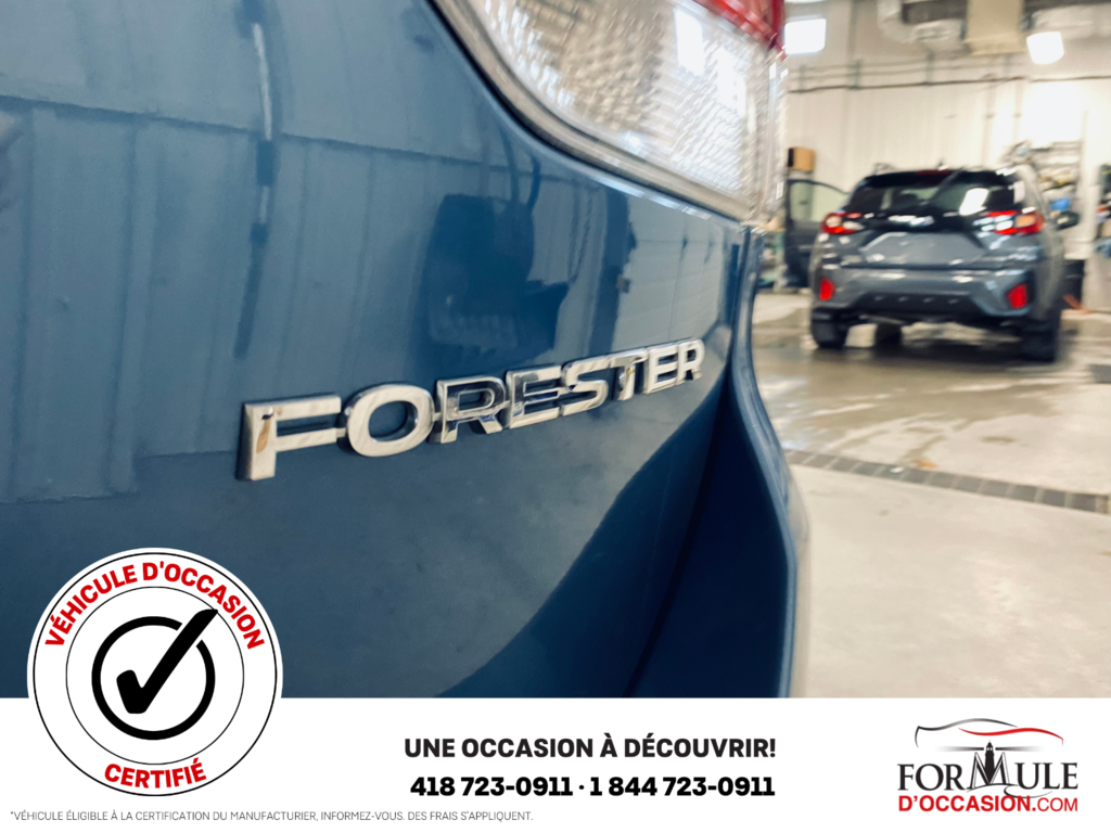 Forester Touring 2020 à Rimouski, Québec - 23 - w1024h768px