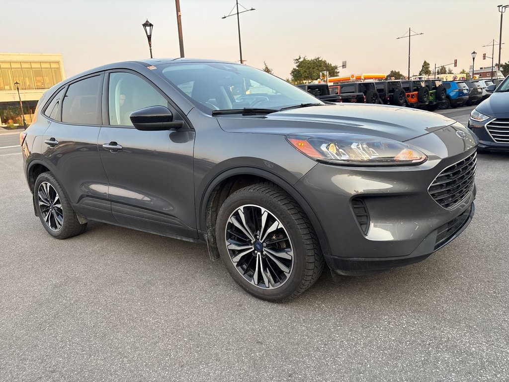 Ford Escape SE AWD 2022 à Pointe-Aux-Trembles, Québec - 5 - w1024h768px