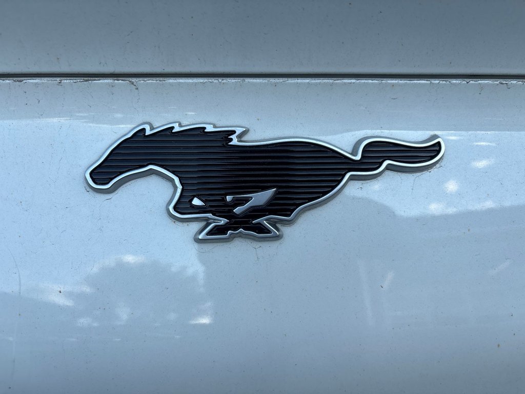 2022 Ford Mustang Mach-E Select in Pointe-Aux-Trembles, Quebec - 15 - w1024h768px