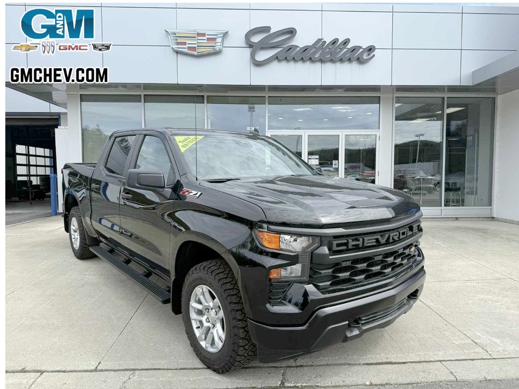 2025 Chevrolet Silverado 1500 WT in Edmundston, New Brunswick - 1 - w1024h768px