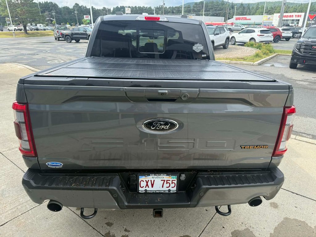 Ford F-150 TREMOR 2023 à Edmundston, Nouveau-Brunswick - 7 - w1024h768px