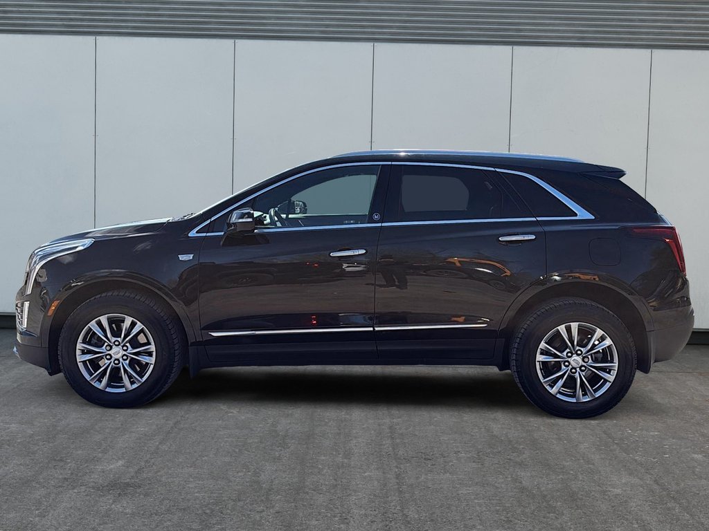 Cadillac XT5 AWD Premium Luxury 2021 à Drummondville, Québec - 5 - w1024h768px