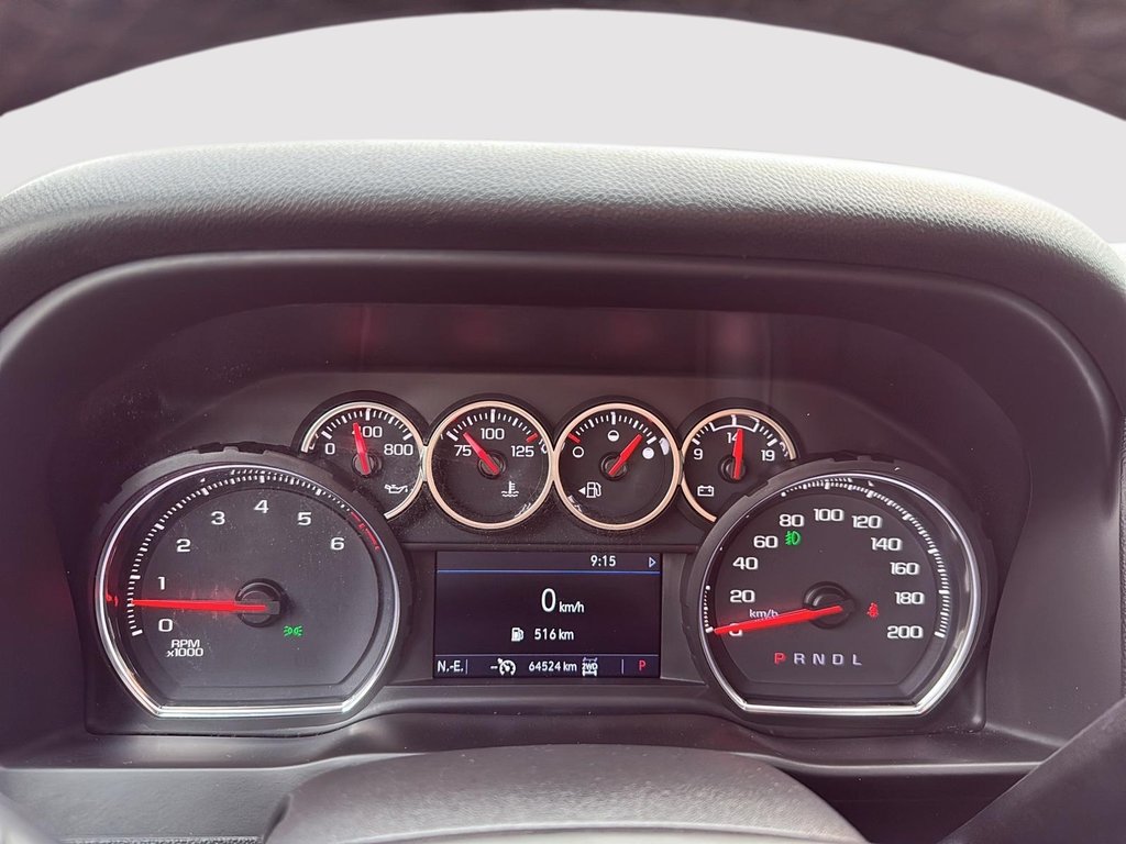 2021 Chevrolet Silverado 1500 LT Trail Boss in Drummondville, Quebec - 15 - w1024h768px