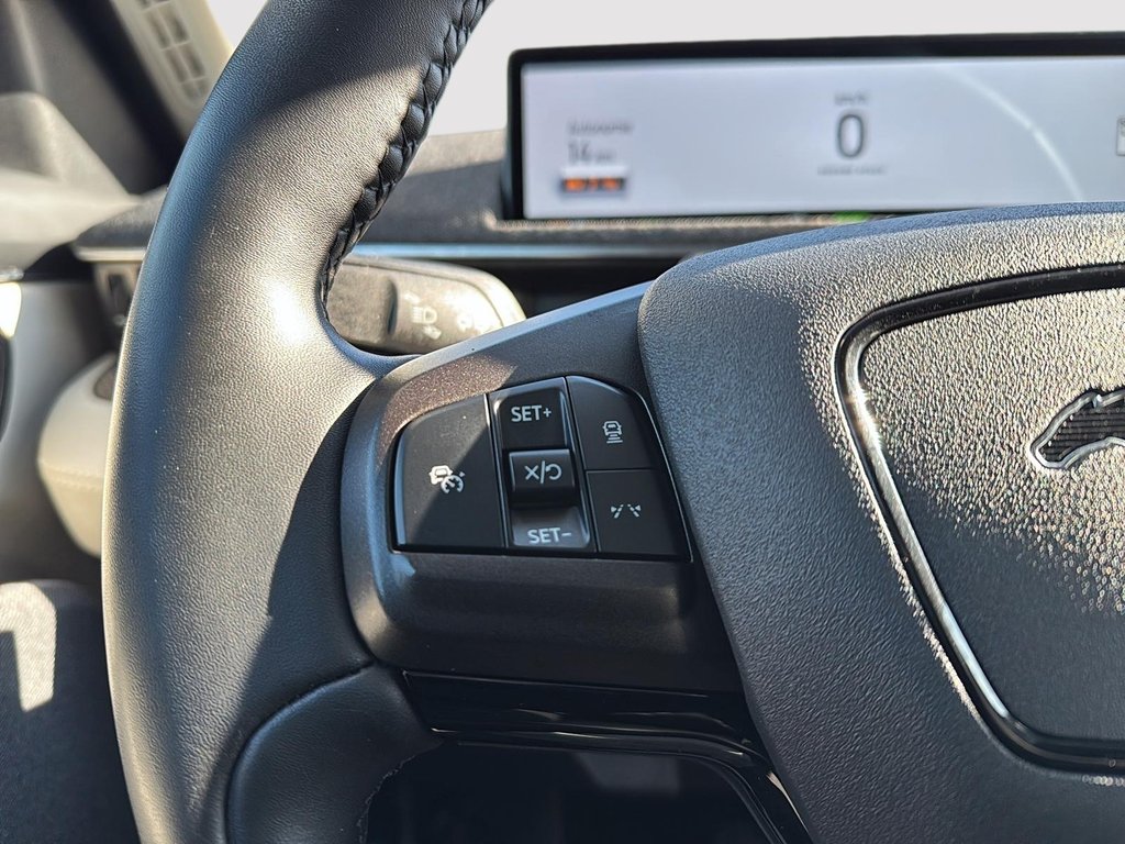 2021 Ford Mustang Mach-E Premium in Drummondville, Quebec - 15 - w1024h768px