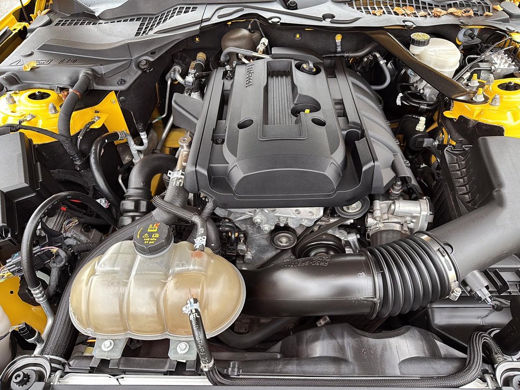 2016 Ford Mustang EcoBoost Premium in Drummondville, Quebec - 9 - w1024h768px