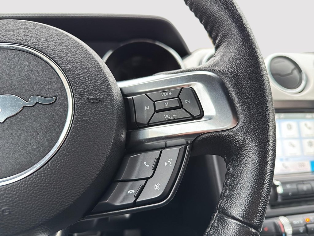 2016 Ford Mustang EcoBoost Premium in Drummondville, Quebec - 17 - w1024h768px