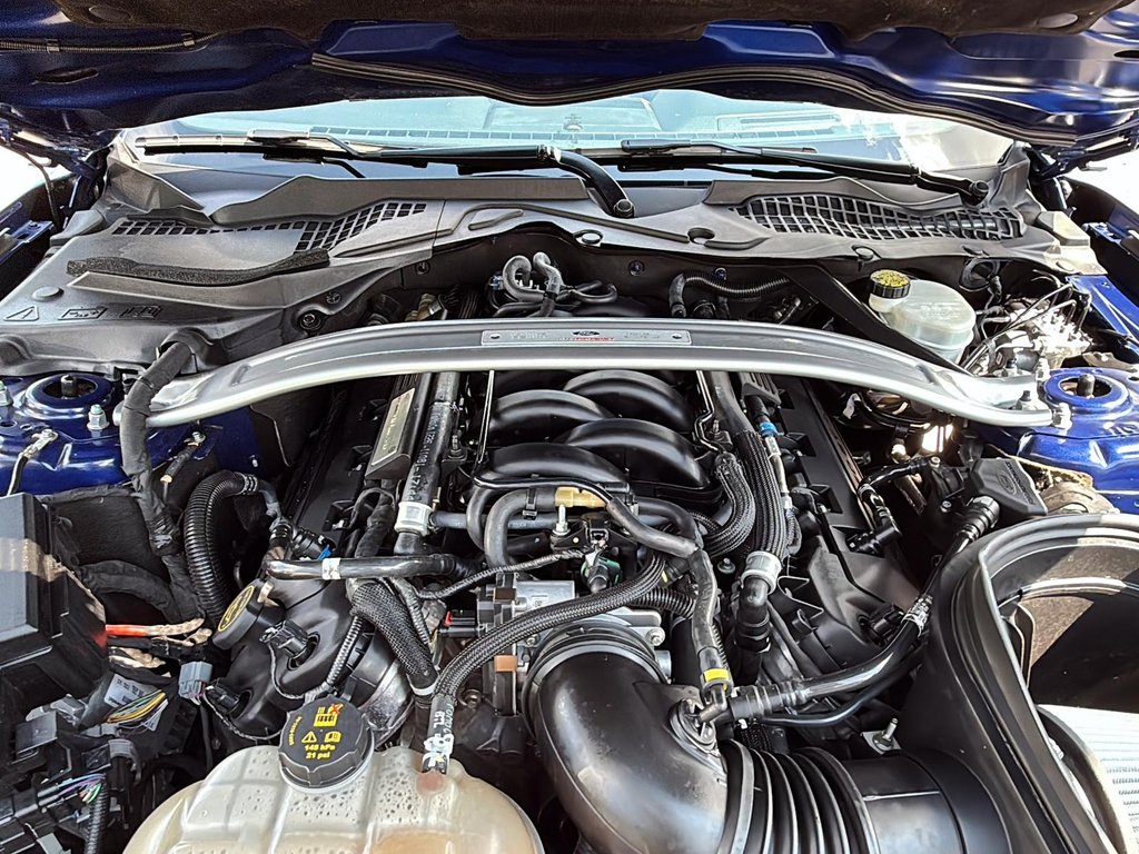 2016 Ford Mustang GT350 SHELBY in Drummondville, Quebec - 8 - w1024h768px