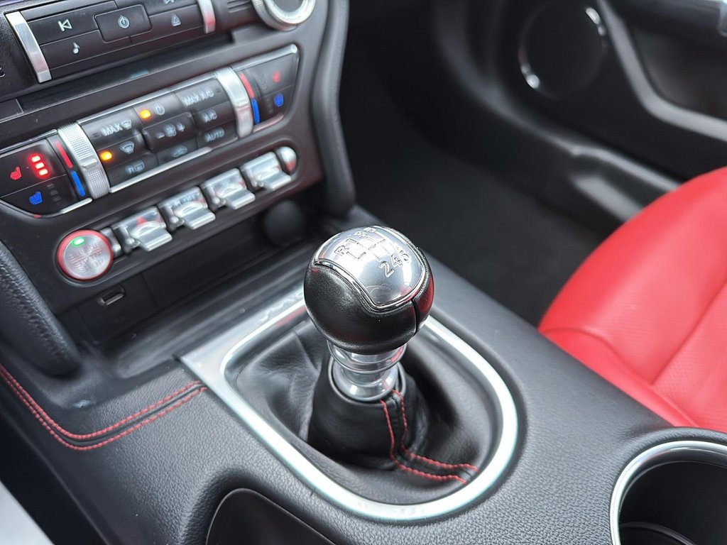 2020 Ford Mustang GT Premium in Drummondville, Quebec - 20 - w1024h768px