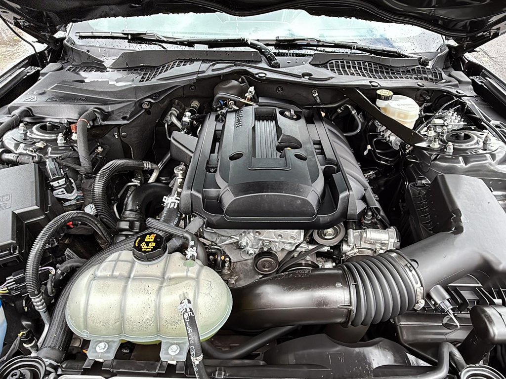 2020 Ford Mustang in Drummondville, Quebec - 10 - w1024h768px