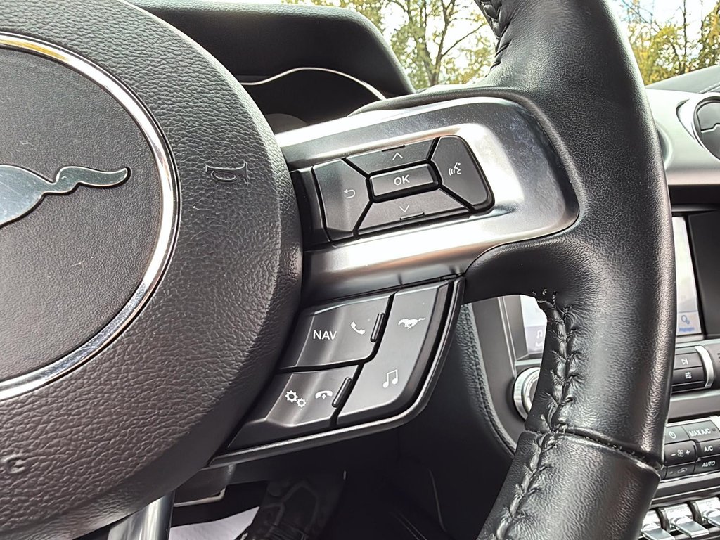 2020 Ford Mustang in Drummondville, Quebec - 18 - w1024h768px