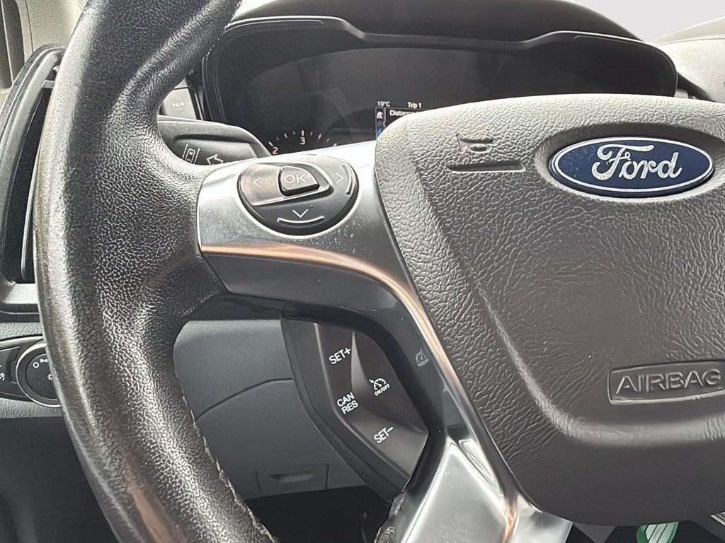 2019 Ford Transit Passenger Wagon in Drummondville, Quebec - 14 - w1024h768px