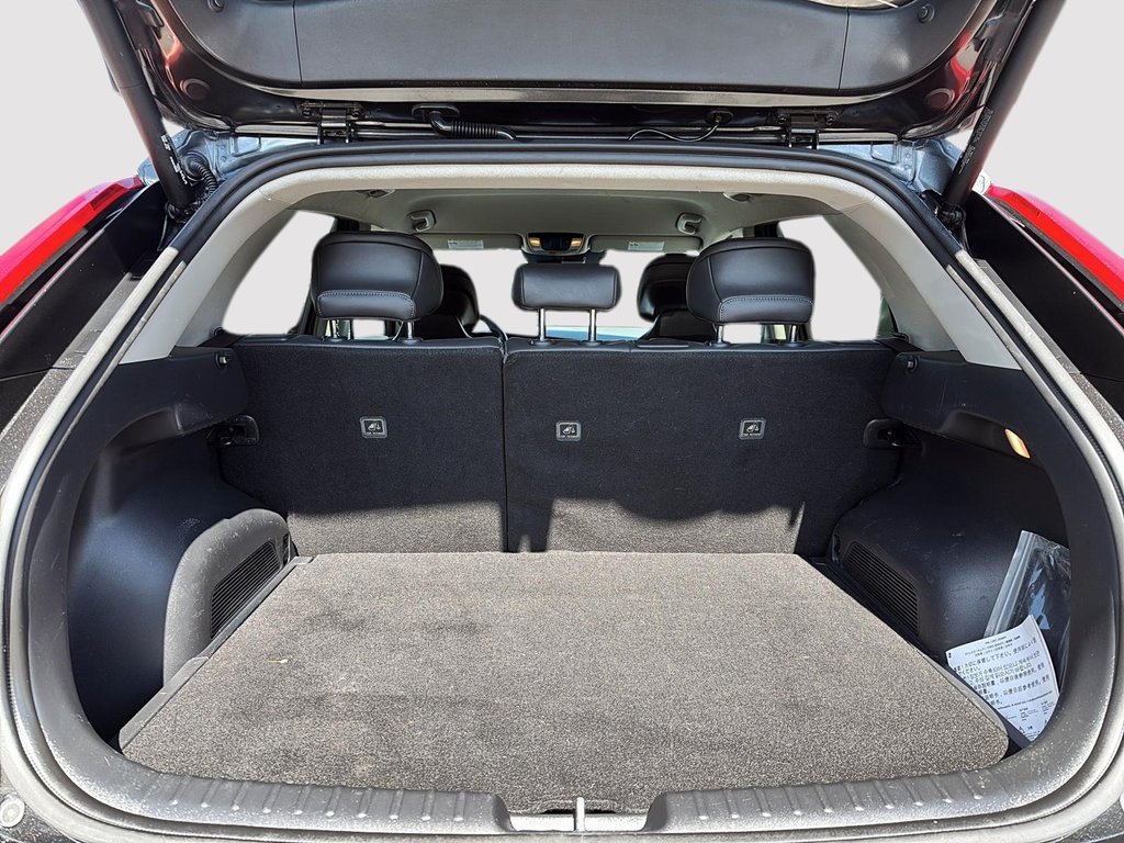 2024 Kia Niro EV in Drummondville, Quebec - 6 - w1024h768px